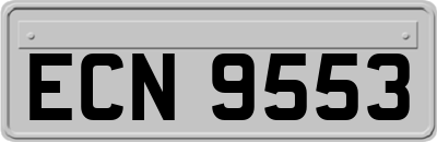 ECN9553