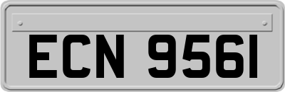 ECN9561
