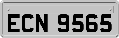 ECN9565