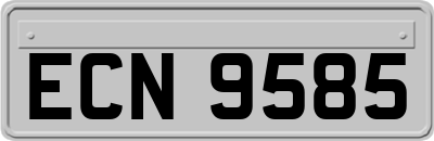ECN9585