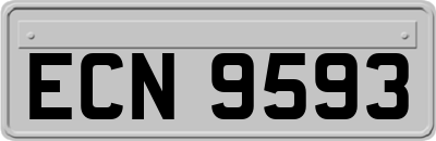 ECN9593