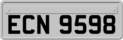 ECN9598