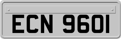 ECN9601
