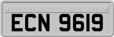 ECN9619