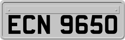 ECN9650