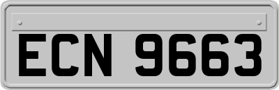 ECN9663
