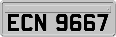 ECN9667