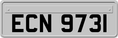 ECN9731