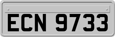 ECN9733