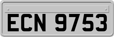 ECN9753