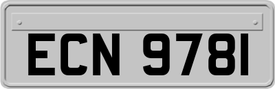 ECN9781