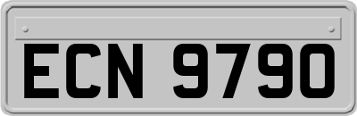 ECN9790