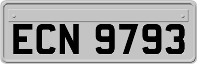ECN9793