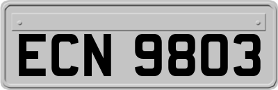 ECN9803