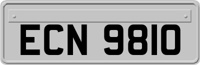ECN9810