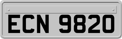 ECN9820