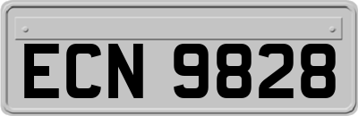ECN9828