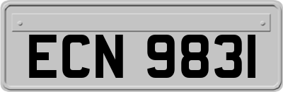 ECN9831
