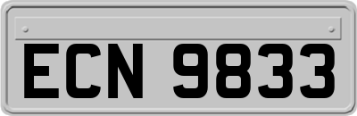 ECN9833