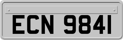 ECN9841