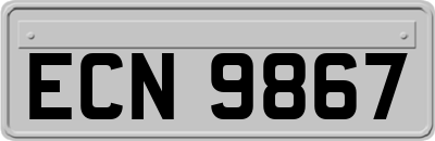 ECN9867