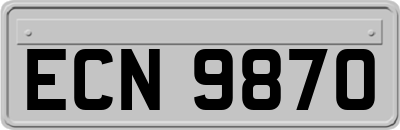 ECN9870