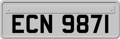 ECN9871