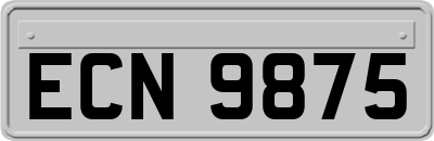 ECN9875