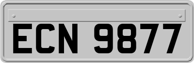 ECN9877
