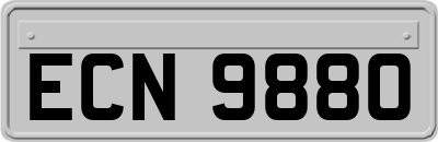 ECN9880