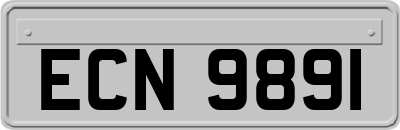 ECN9891