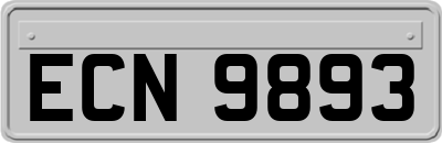 ECN9893