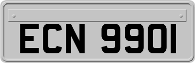 ECN9901
