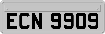 ECN9909