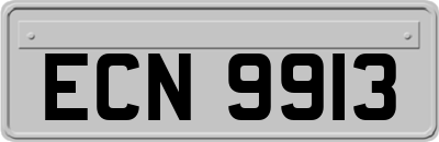 ECN9913