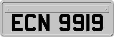 ECN9919