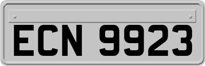 ECN9923