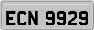 ECN9929