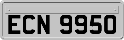 ECN9950
