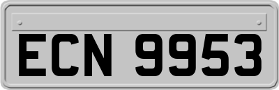 ECN9953