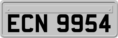 ECN9954