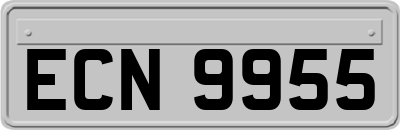 ECN9955