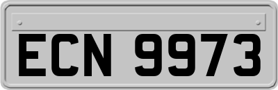 ECN9973