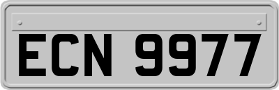 ECN9977