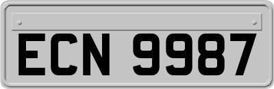 ECN9987