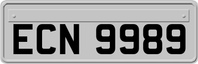 ECN9989