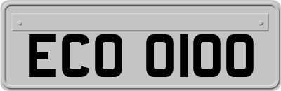 ECO0100