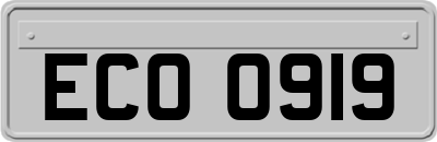 ECO0919