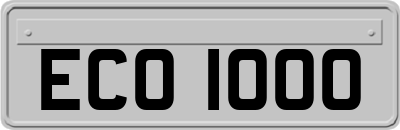 ECO1000