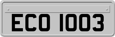 ECO1003
